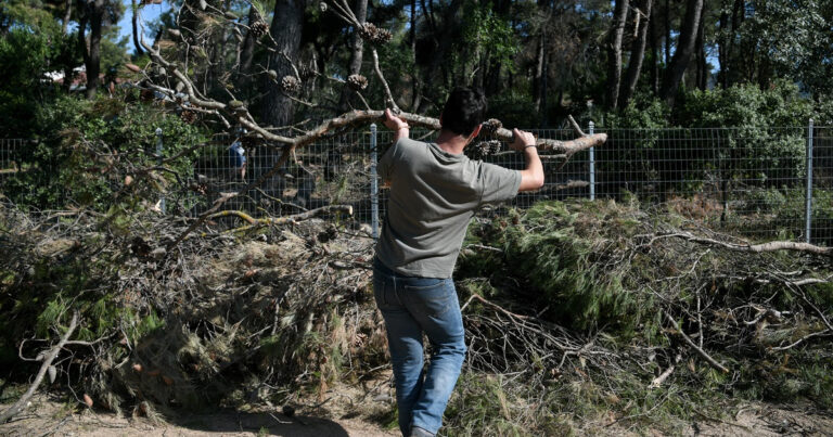 Άνοιξε σήμερα (1/4) η πλατφόρμα για τα ακαθάριστα οικόπεδα: Τι περιλαμβάνει ο καθαρισμός