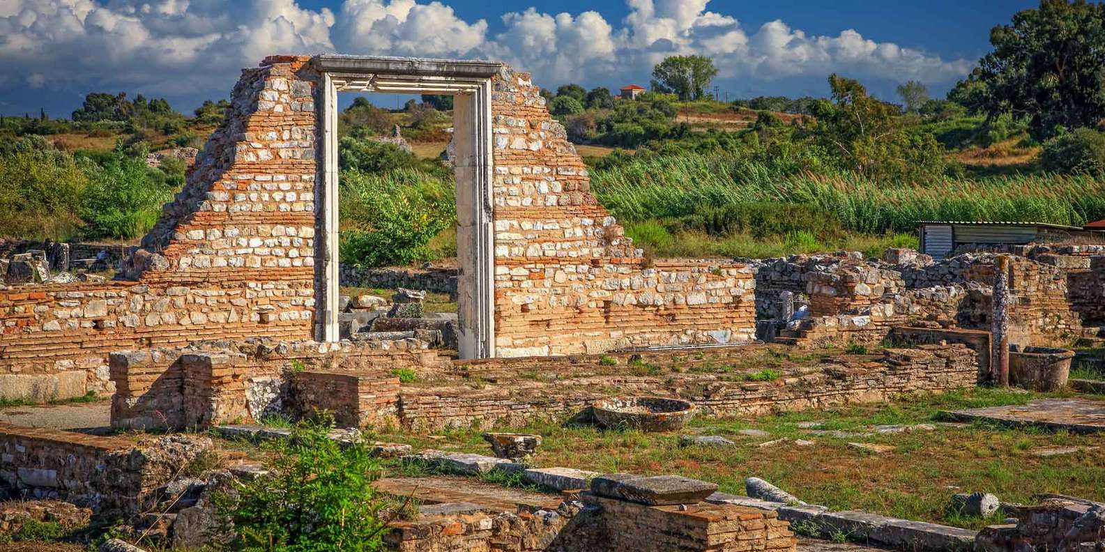 Ένα μοναδικό φυτό εντοπίστηκε στην Αρχαία Νικόπολη