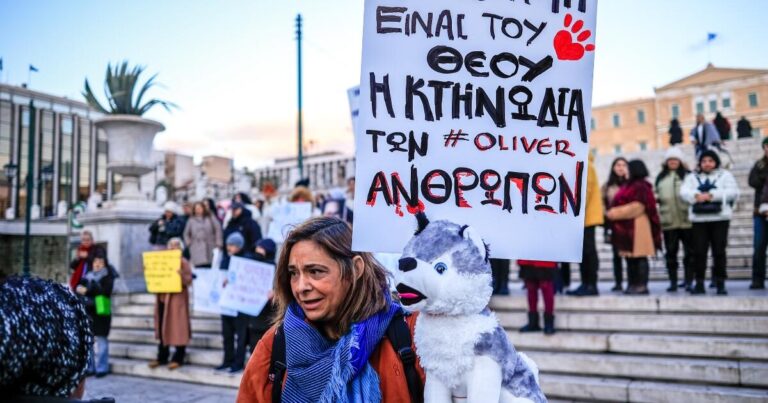 Αράχωβα: Δεν βρέθηκε ένοχος για τον άγριο θάνατο του Όλιβερ