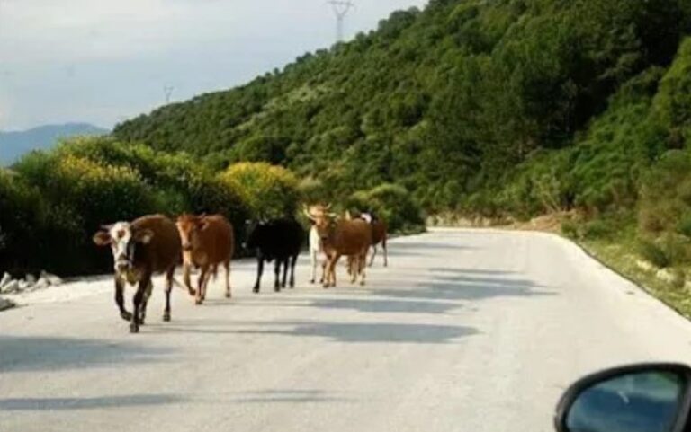 Κίνδυνος – θάνατος στον άξονα Αστακός-Μύτικας-Παλαιρος