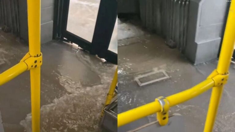 «Ο ελεγκτής μπαίνει με ψαροντούφεκο;»