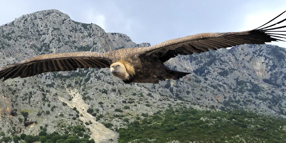 μεγάλες εταιρείες πίσω από τις «Ενεργειακές Κοινότητες»! Θα ανακληθούν άμεσα οι άδειες των έργων από τη Διοίκηση ή θα επιβραβευθεί η κατάχρηση του θεσμού των Ενεργειακών Κοινοτήτων;
