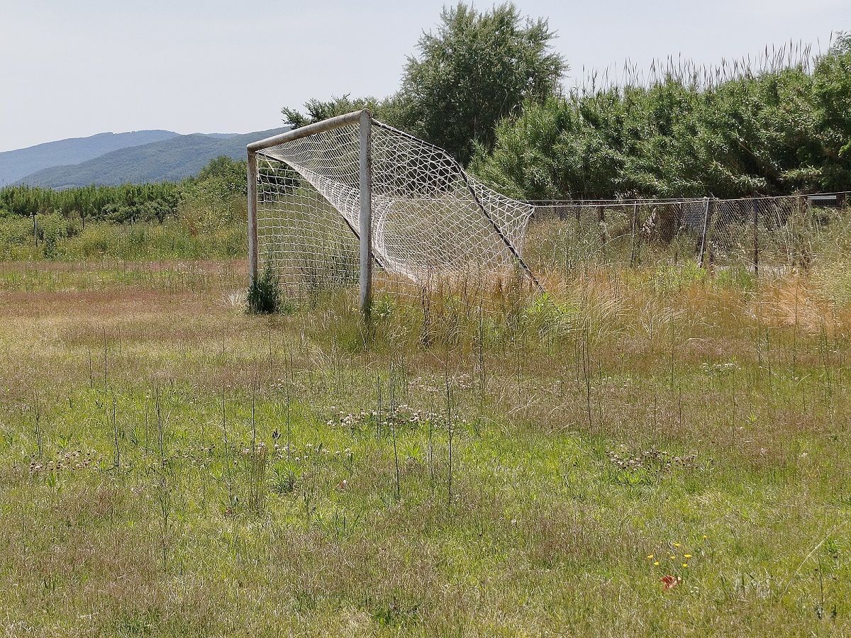 Αγρίνιο: Με «ζούγκλα» μοιάζει το γήπεδο Καλυβίων