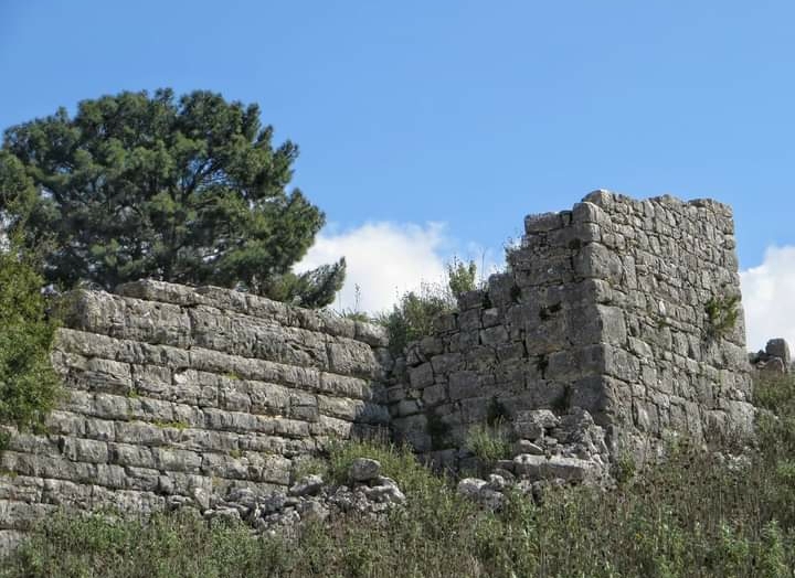 Αμφιλοχία: Ξεκίνησαν εργασίες απομάκρυνσης φυτικής ύλης και δημιουργία αντιπυρικής ζώνης στην Αρχαία Λιμναία - Karvasaras