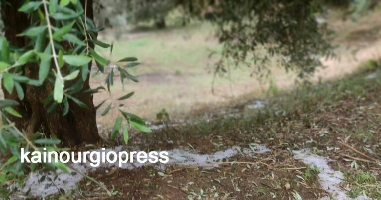 Ανακοίνωση για τους παραγωγούς του Καινουργίου που επλήγησαν από την χαλαζόπτωση