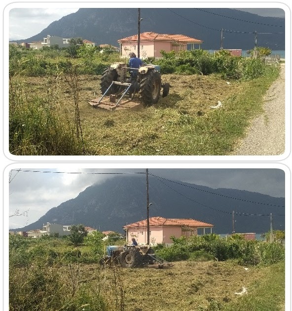 Η δύναμη και η ανιδιοτελής προσφορά των εθελοντών.