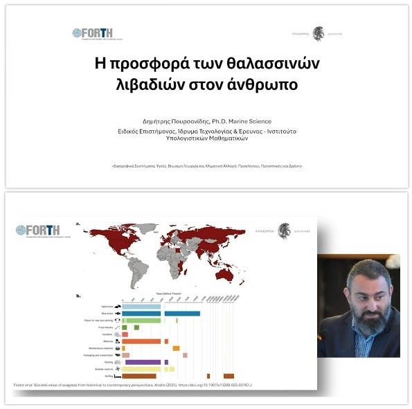 Η προσφορά των θαλασσινών λιβαδιών στον άνθρωπο (video).