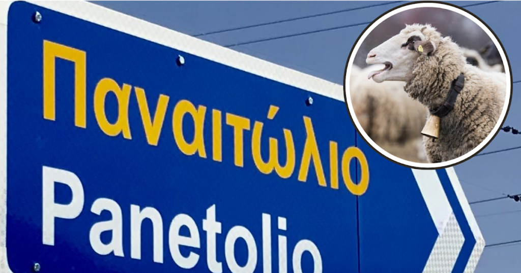Πιθανόν κρούσμα ευλογιάς των αιγοπροβάτων ξανά στο Παναιτώλιο