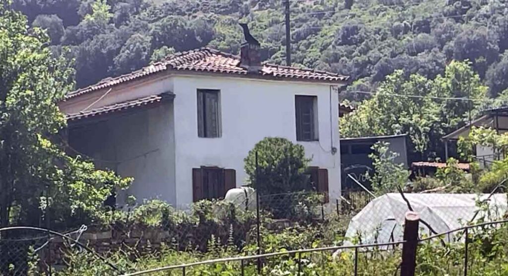 Χαλκιόπουλο Βάλτου: Ο 67χρονος ομολόγησε πριν από 15 μέρες ότι κακοποιούσε τον πατέρα του και δεν συνελήφθη (video) - Karvasaras