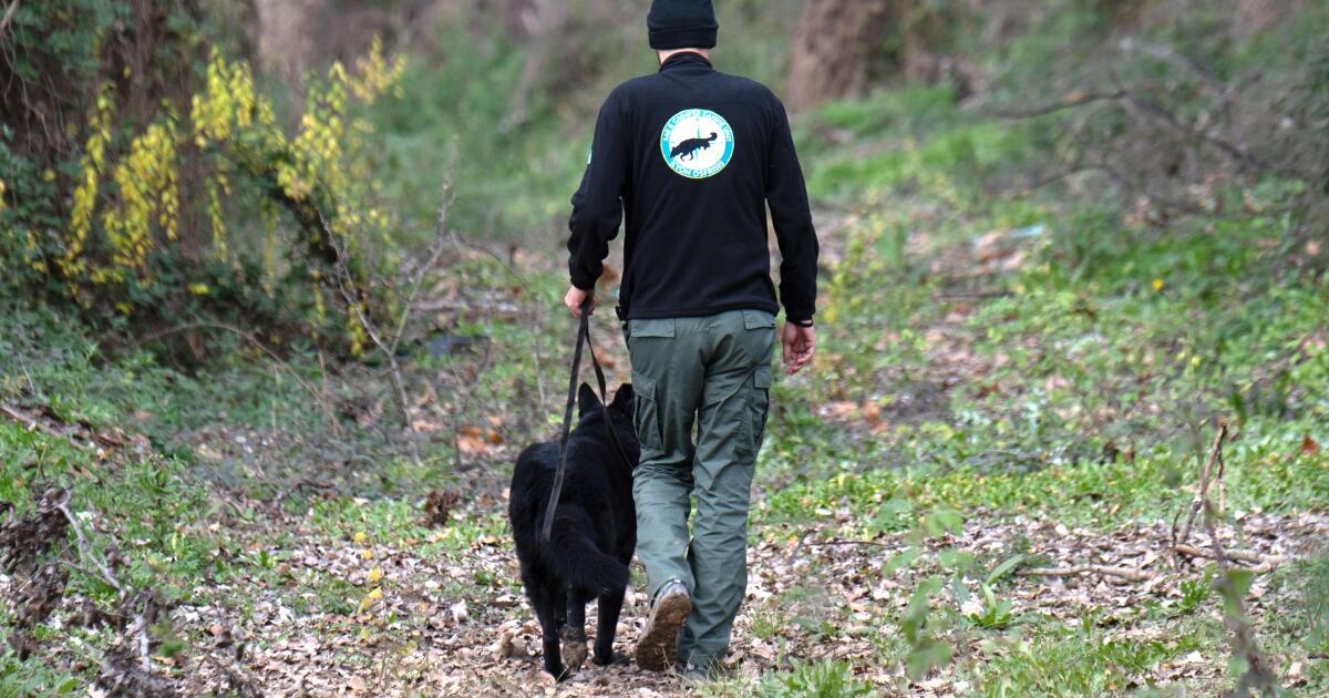 Oι τελευταίες στιγμές του ορειβάτη πριν πέσει στον γκρεμό – Kατέγραψε τον θάνατό του