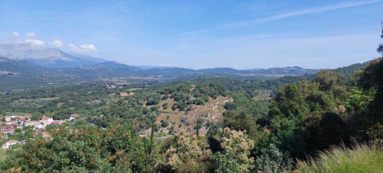 Έργο DRYAD για ενίσχυση της ανθεκτικότητας οικοσυστήματος του βελανιδοδάσους Ξηρομέρου - Karvasaras