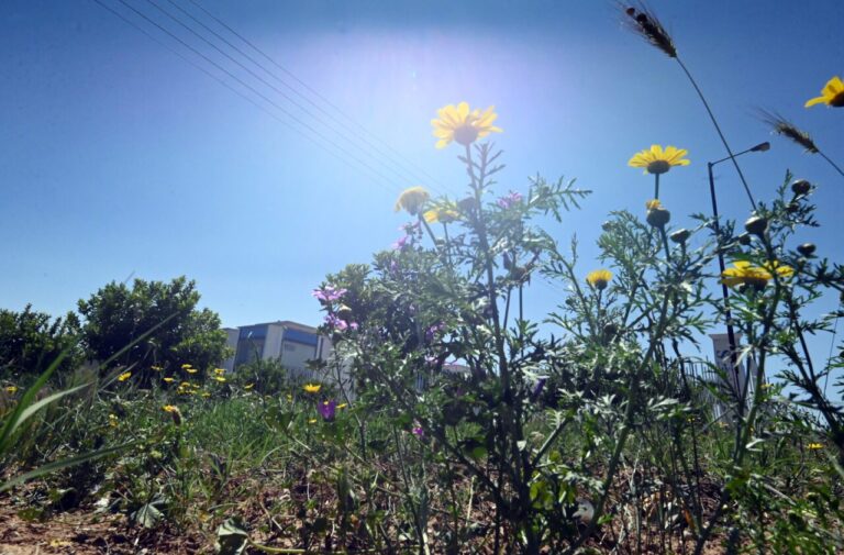 Πρόβλεψη για 38 βαθμούς την Κυριακή στο Αγρίνιο από τον μετεωρολόγο Γιώργο Τσατραφύλλια.