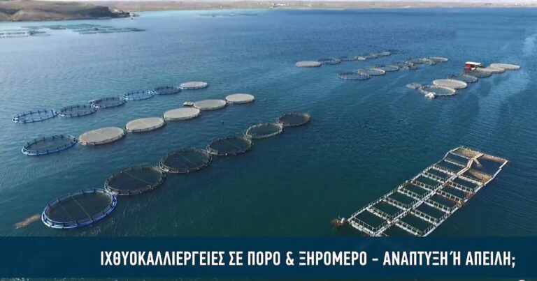Ρεπορτάζ IONIAN TV: Ιχθυοκαλλιέργειες σε Πόρο & Ξηρόμερο - Ανάπτυξη ή απειλή; (video).