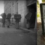 karpnergates-protomagia.jpg