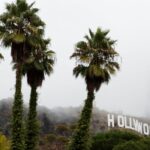 ape-hollywood.jpg