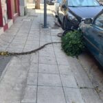 zimies-anemoi-agrinio751914509_1038022829084992_6484397711507869537_n.jpg