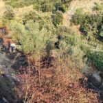 fotia-sigouneika-2-e1787597901572.jpg